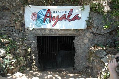 disco ayala|trinidad ayala.